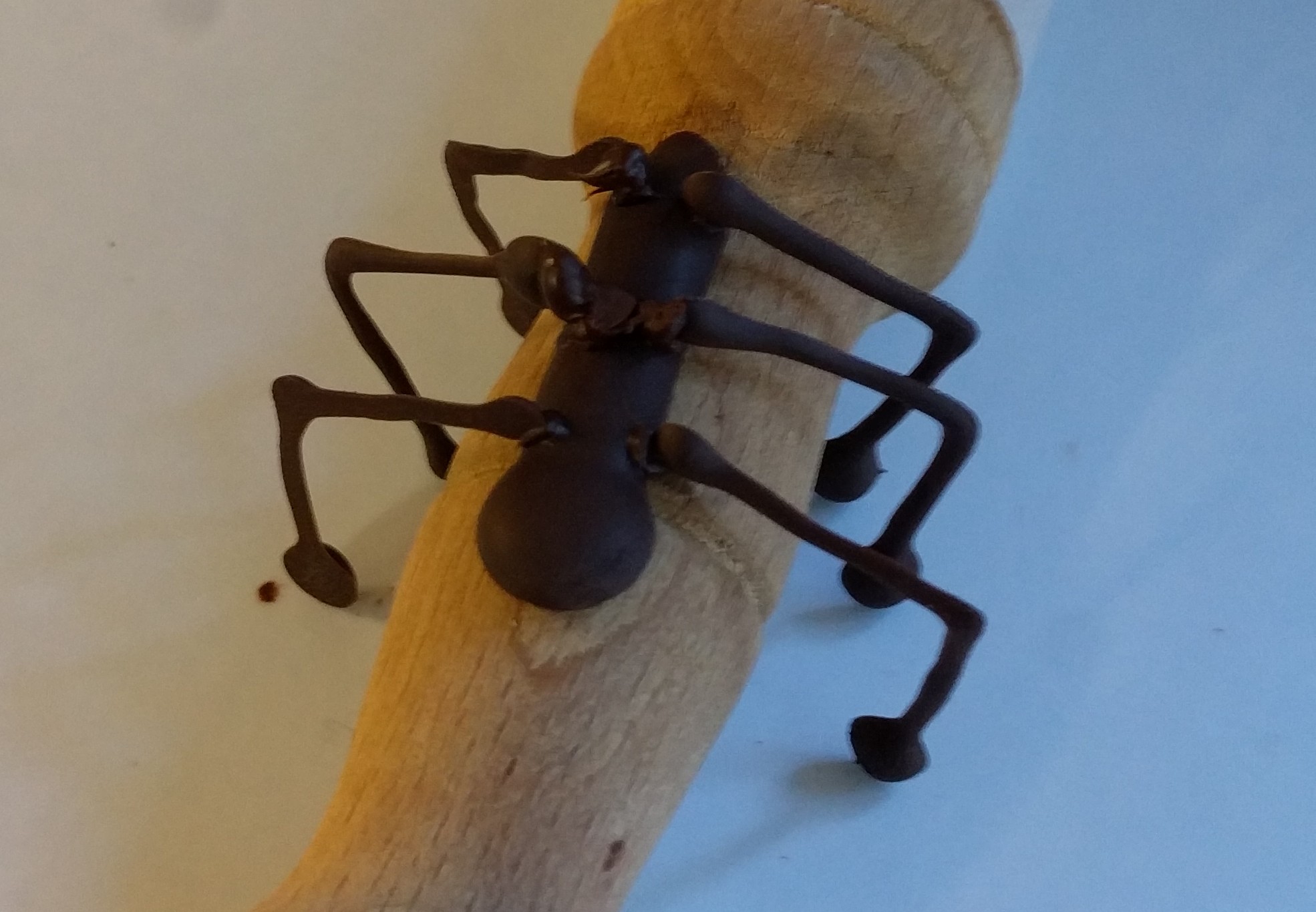 IMG_20181030_154435~2